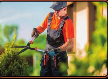 Hedge trimming on an estate