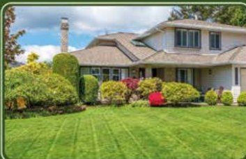 Neatly mown lawn and borders